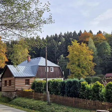 Pod Panskym Vrchem Olesnice v Orlickych horach